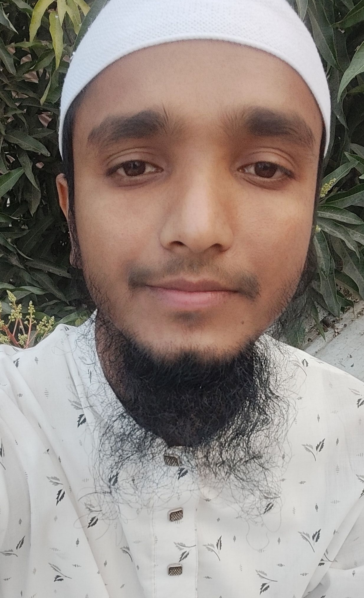 Abdul Halim